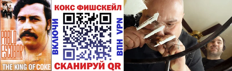 mega ссылка  Нестеров  Cocaine Fish Scale 