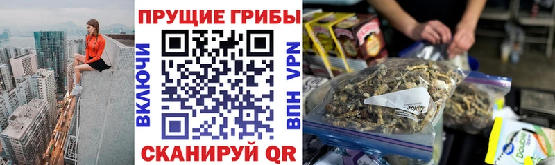 Галлюциногенные грибы мухоморы  Нестеров 